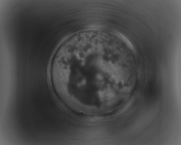 X0000100900899200807081100