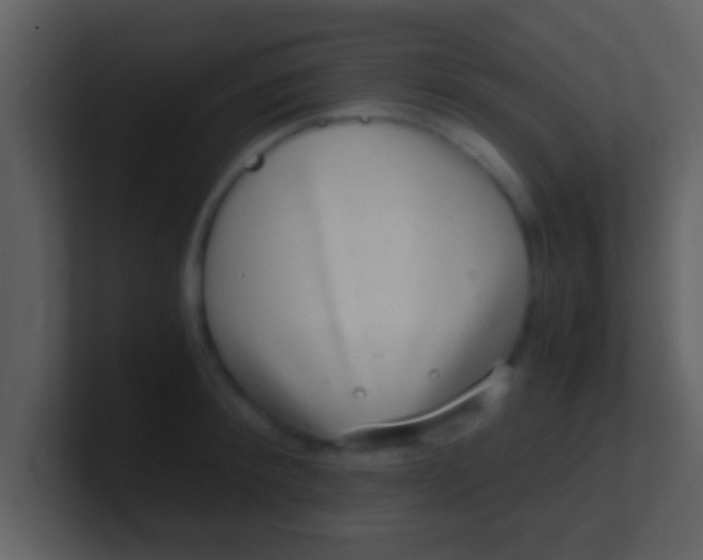 X0000100900900200807081100