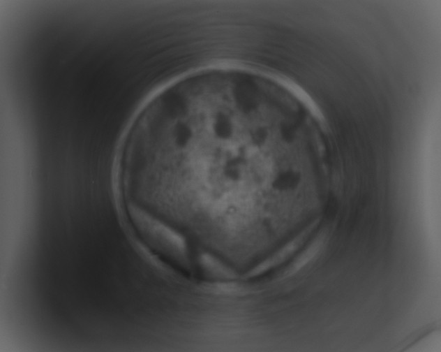 X0000100900903200807081100