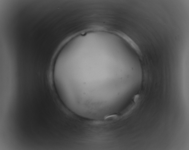 X0000100900904200807081100