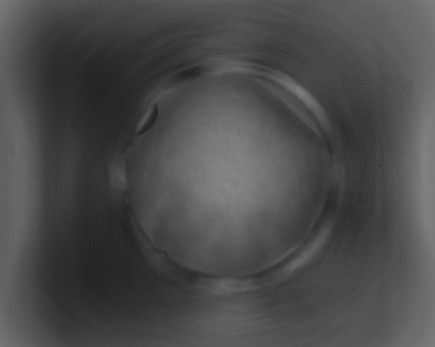 X0000100900905200807081100