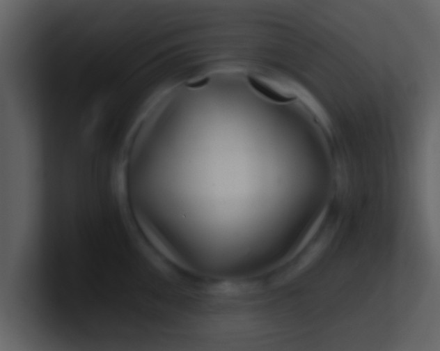 X0000100900906200807081100