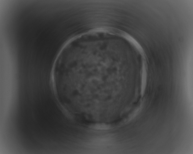 X0000100900907200807081100