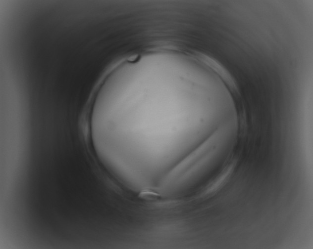 X0000100900908200807081100