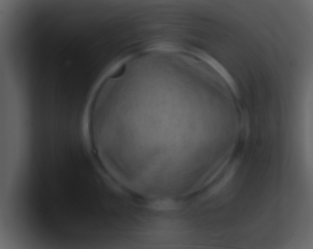 X0000100900909200807081100