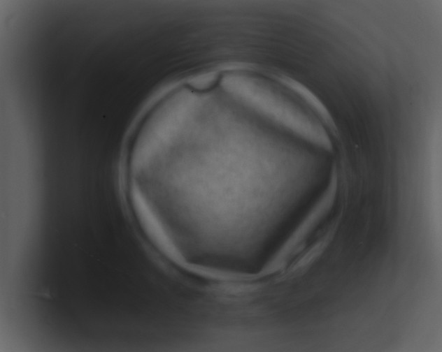 X0000100900910200807081100