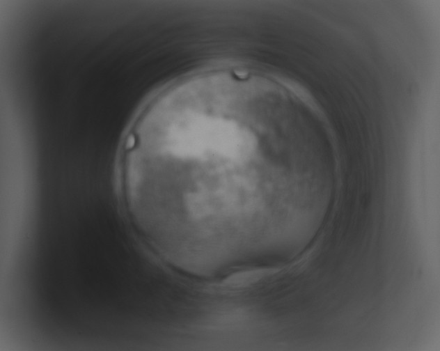 X0000100900912200807081100