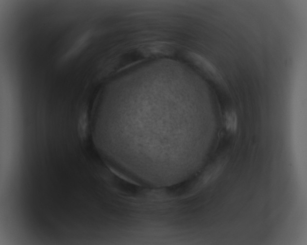 X0000100900915200807081059