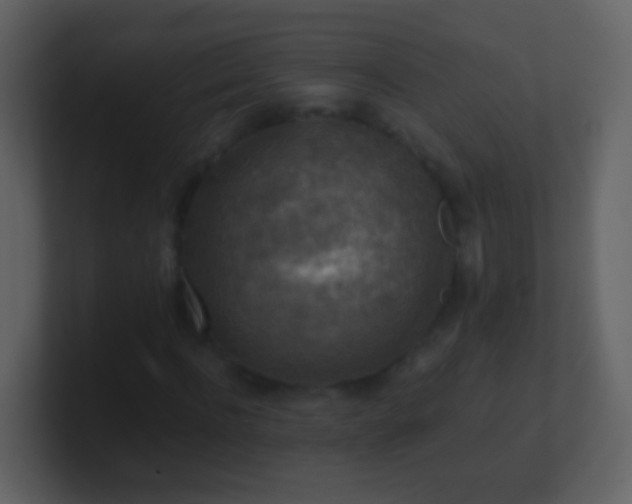 X0000100900916200807081059