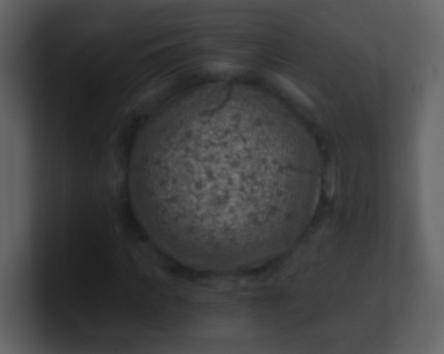 X0000100900917200807081059