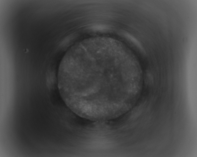 X0000100900918200807081059