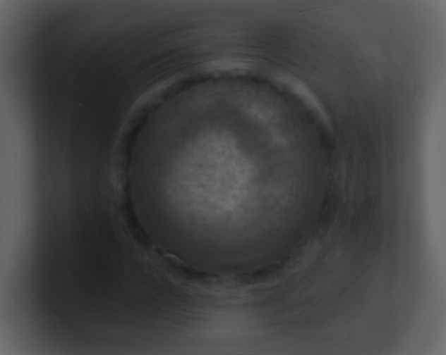 X0000100900920200807081059