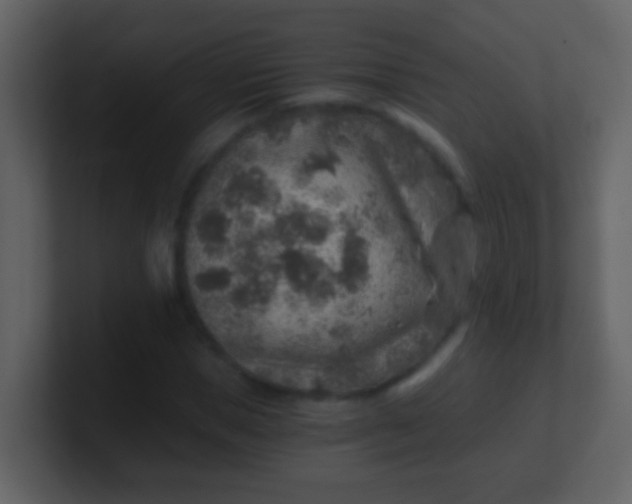 X0000100900921200807081059