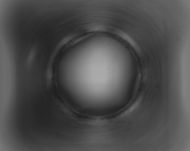 X0000100900922200807081059