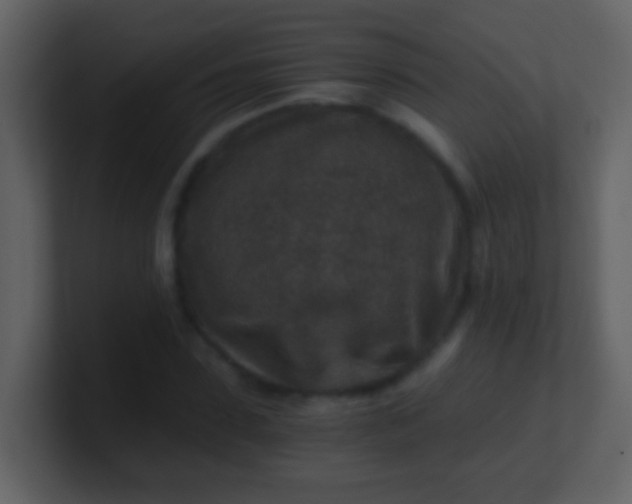 X0000100900923200807081059