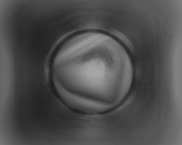 X0000100900926200807081059