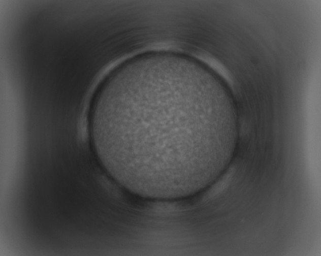 X0000100900927200807081059