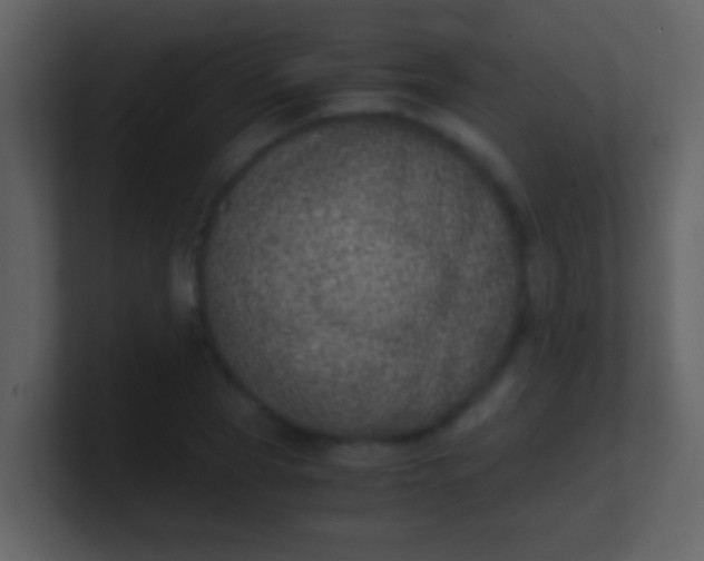 X0000100900929200807081059