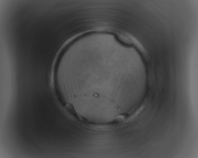 X0000100900932200807081059