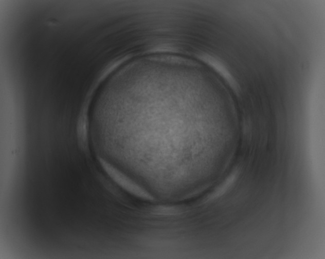 X0000100900933200807081059