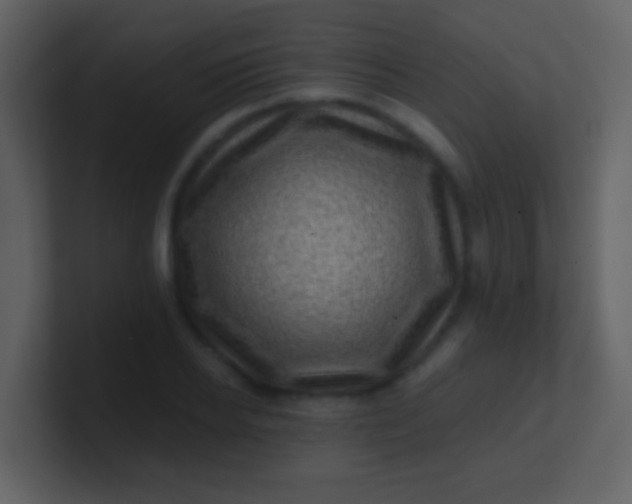 X0000100900934200807081059