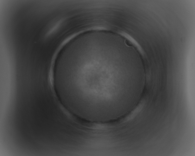 X0000100900935200807081059