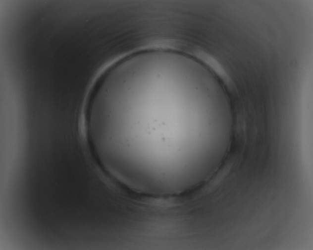 X0000100900936200807081059