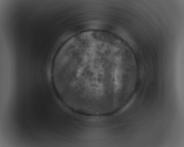 X0000100900938200807081059