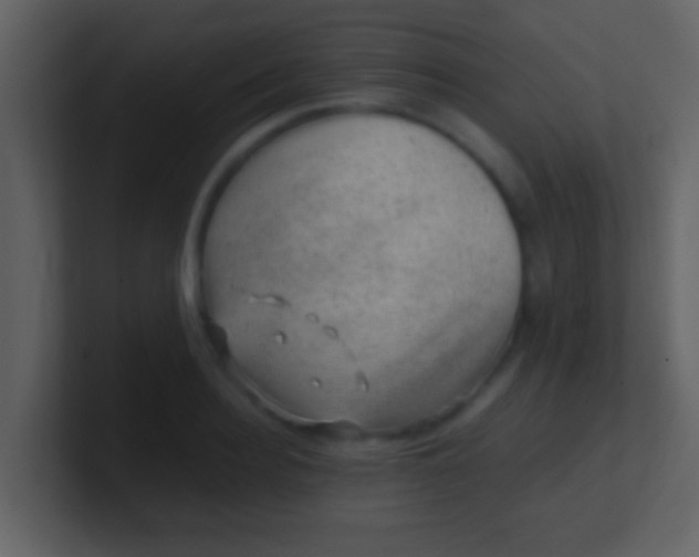 X0000100900940200807081059