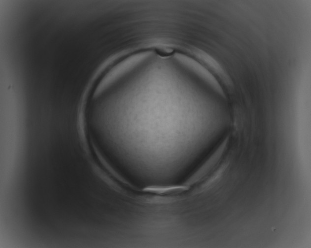 X0000100900942200807081059