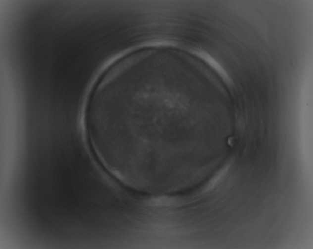 X0000100900943200807081059