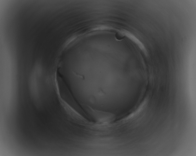 X0000100900945200807081100