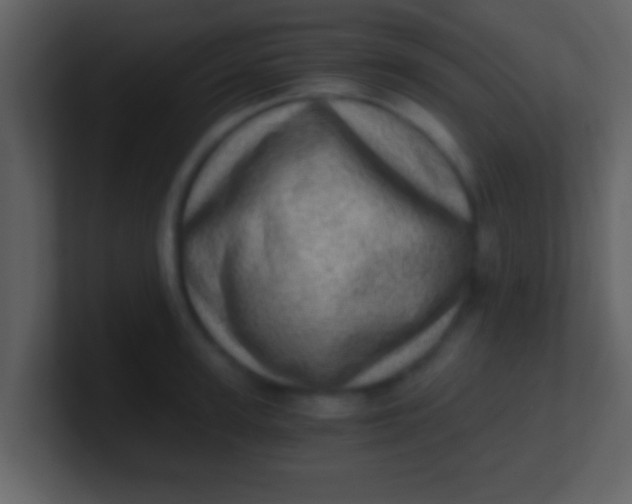 X0000100900947200807081100