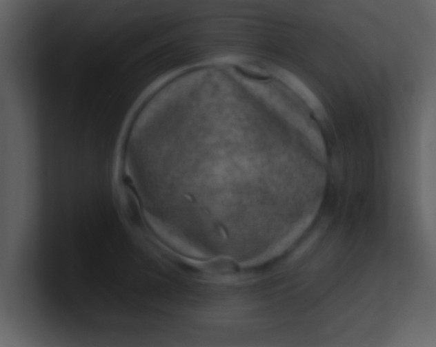 X0000100900948200807081100