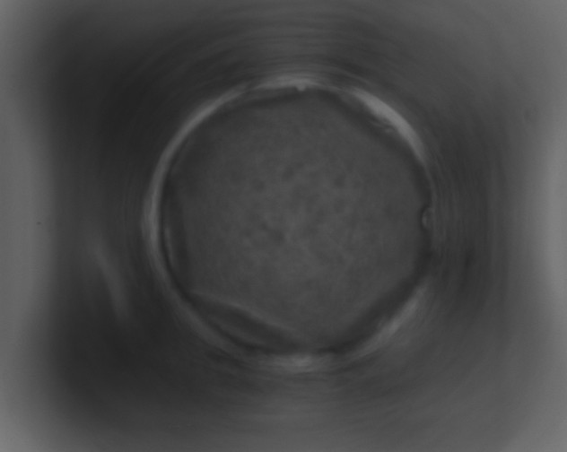 X0000100900949200807081100