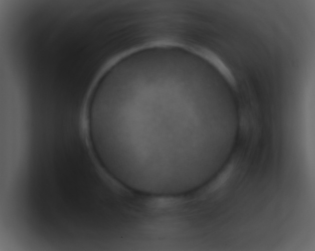 X0000100900950200807081100