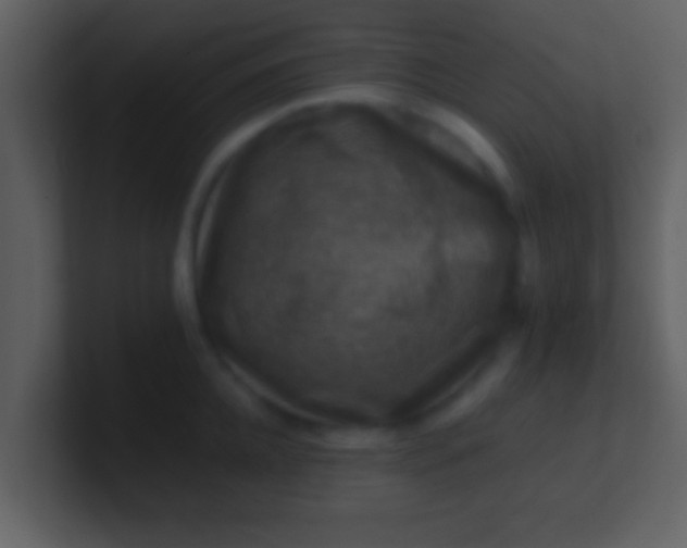 X0000100900952200807081100