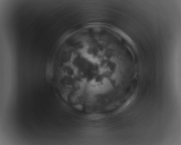 X0000100900953200807081100