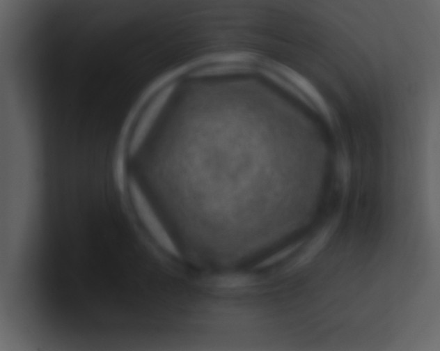 X0000100900959200807081100