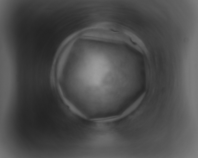 X0000100900960200807081100