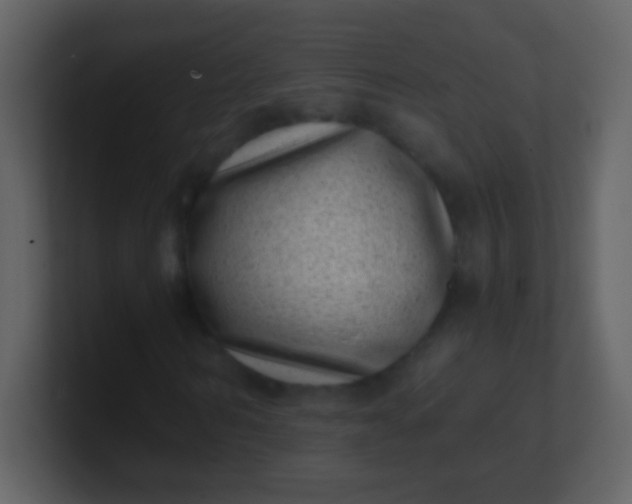 X0000100900962200807081059