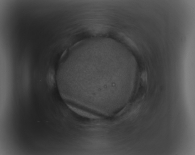 X0000100900963200807081059