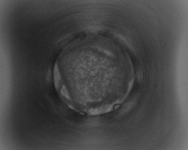 X0000100900964200807081059