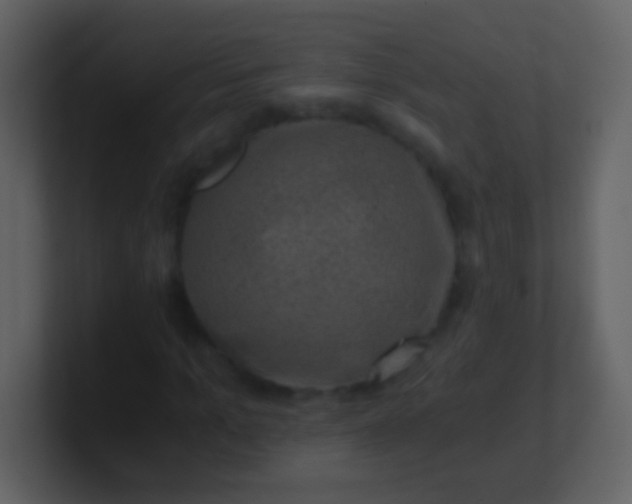 X0000100900965200807081059