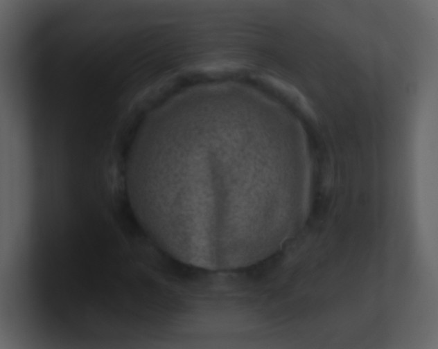 X0000100900966200807081059