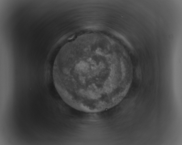 X0000100900968200807081059