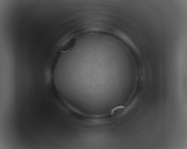 X0000100900969200807081059