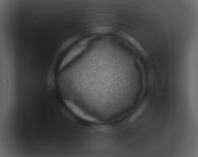 X0000100900970200807081059