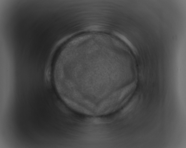 X0000100900971200807081059