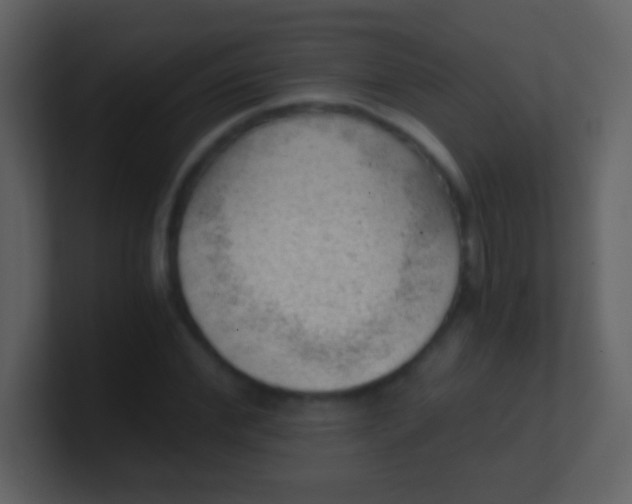 X0000100900972200807081059